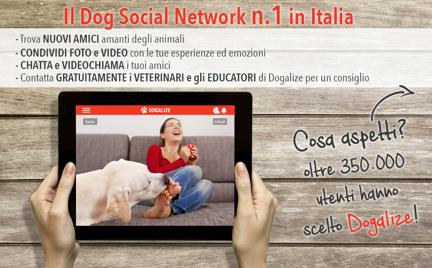 logo_dogalize